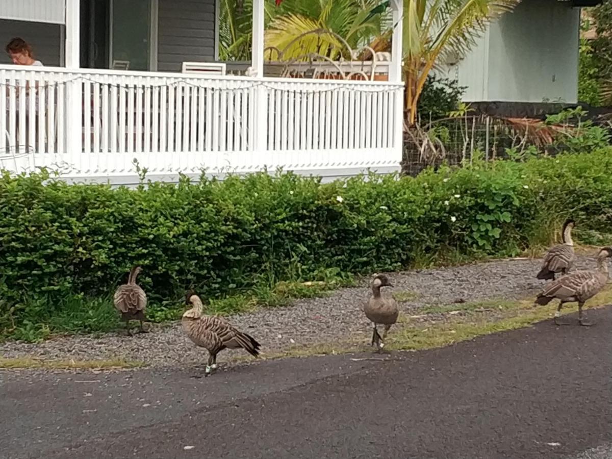 Ocean Breeze Inn Keaau Bagian luar foto